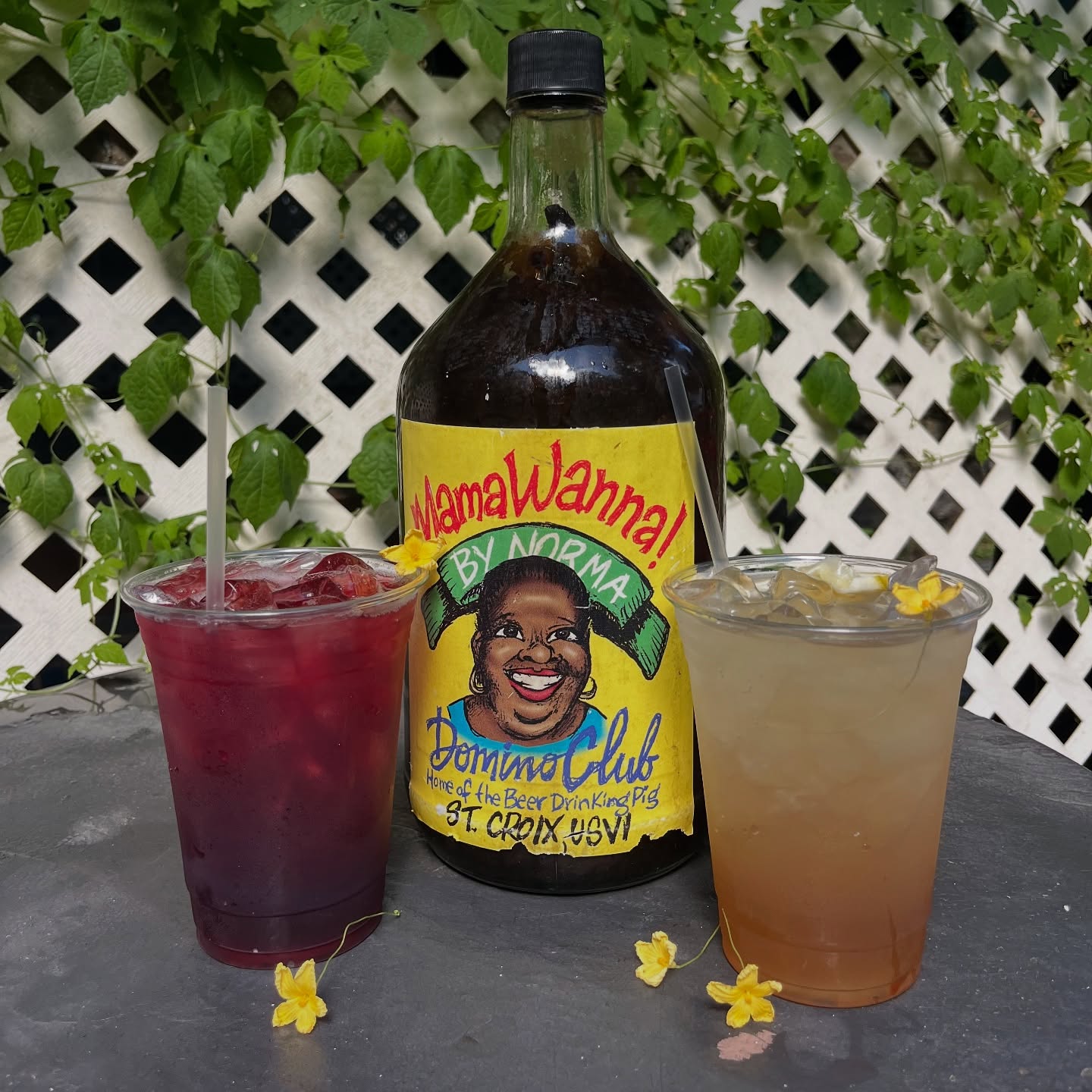 MamaWanna bush rum bottle flanked by two cocktails garnished with yellow flowers against a white lattice backdrop