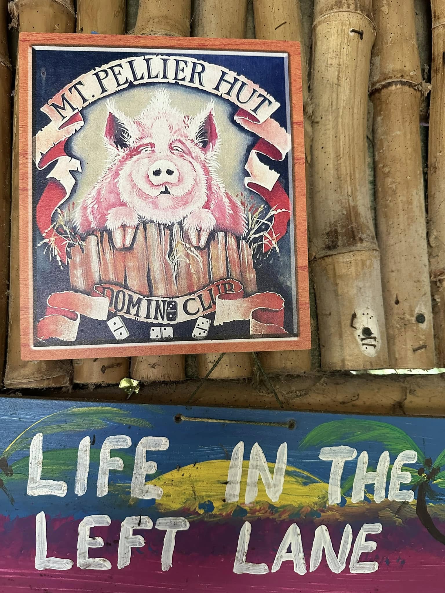 Framed Domino Club pig sign on bamboo wall with a blue 'Life in the Left Lane' sign below it
