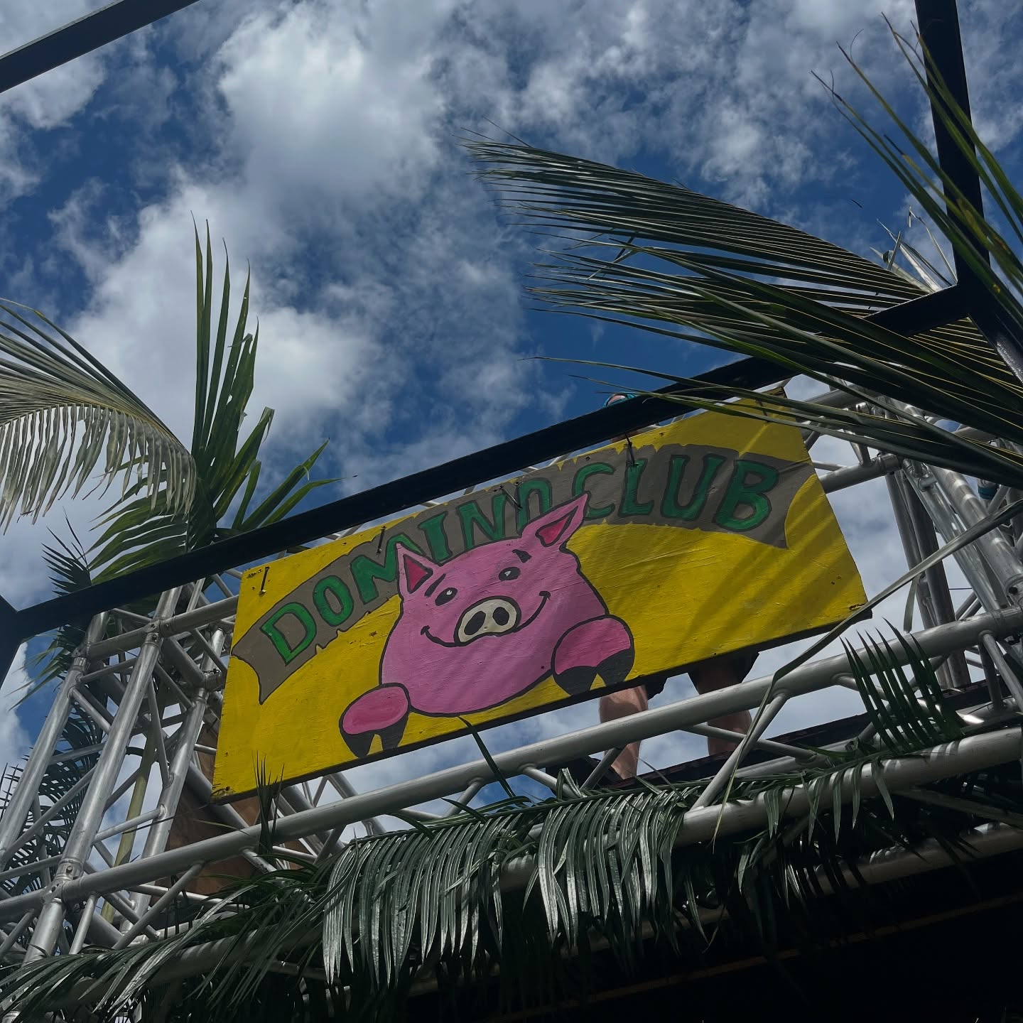 Domino Club pig sign mounted on the metal roof against blue sky and palm fronds