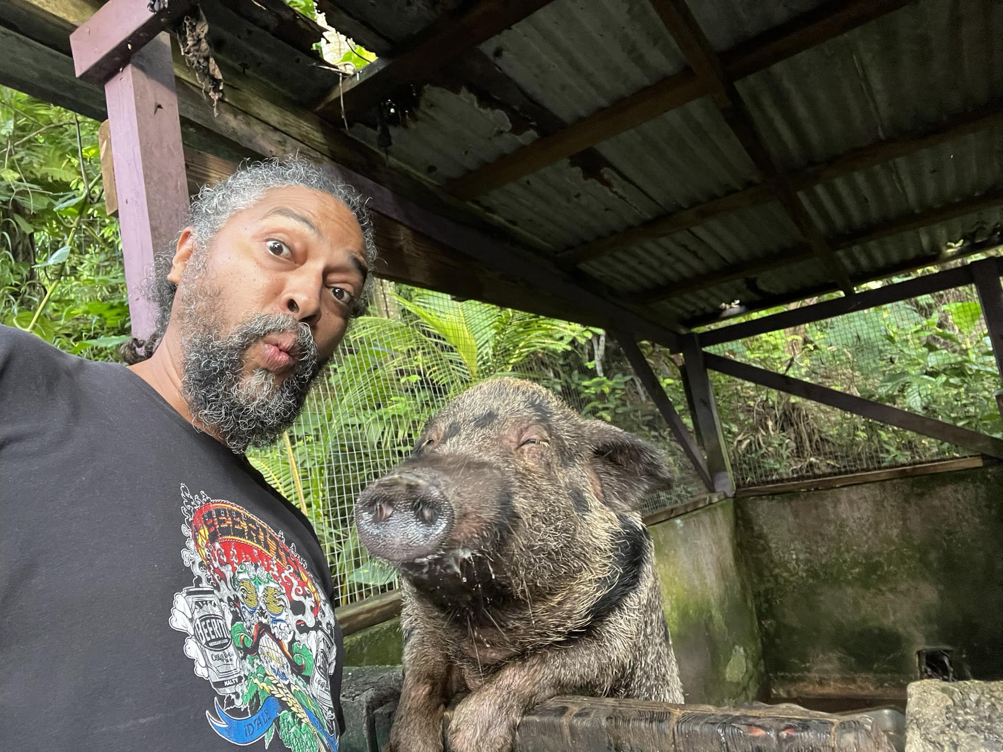 A visitor taking a selfie with one of the Domino Club pigs